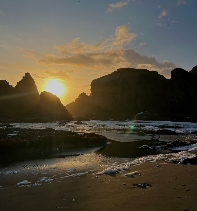 año de intercambio académico